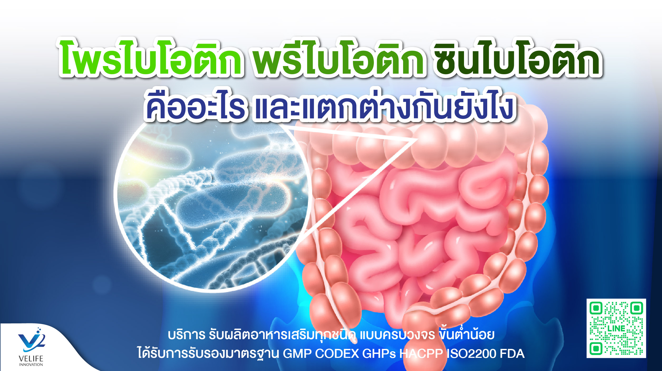Probiotics Prebiotics synbiotic
