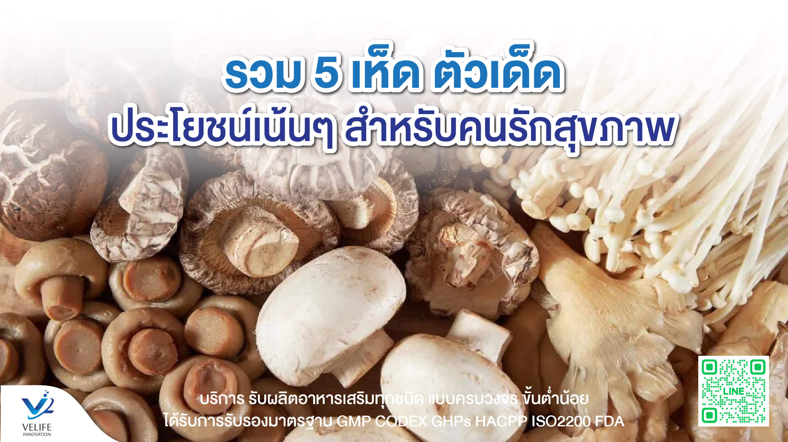 5-great-mushrooms-nourishing-health